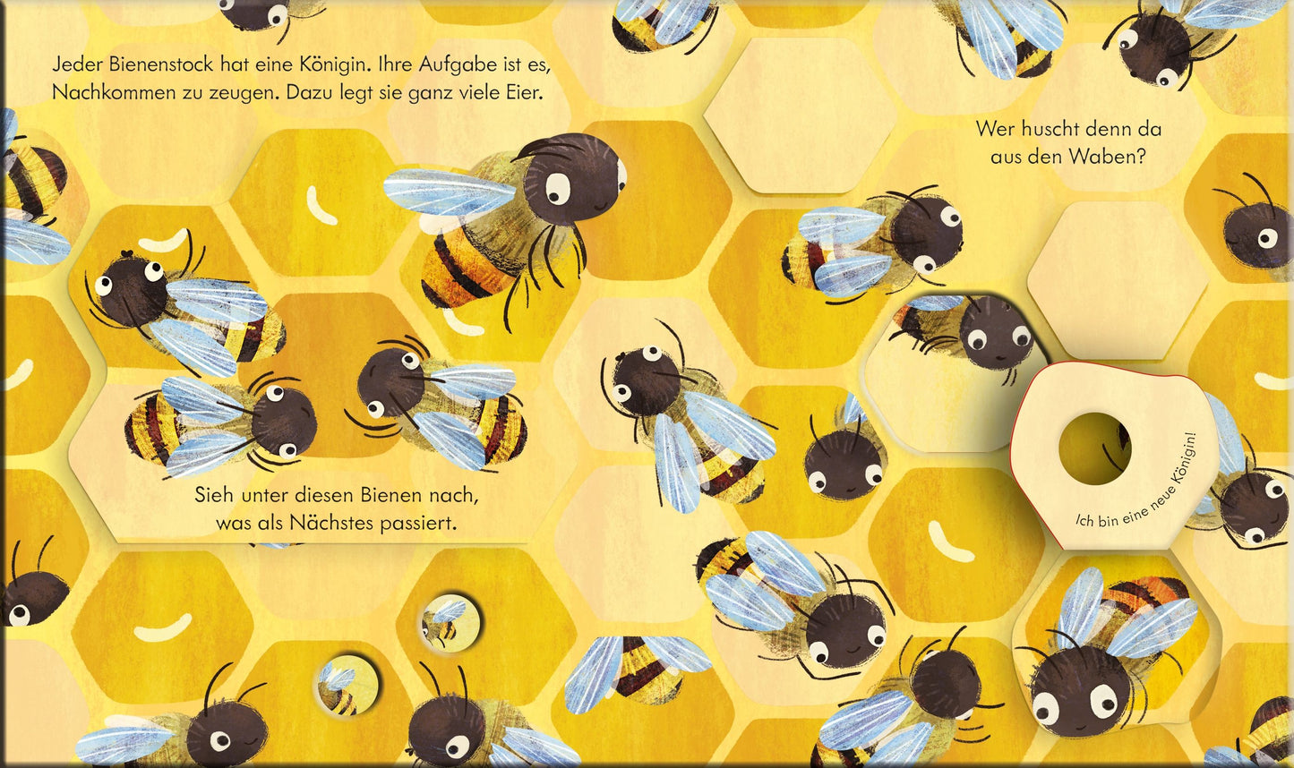 Usborne Kinderbuch mit Klappen und Gucklöchern: Bei den Bienen 3J+