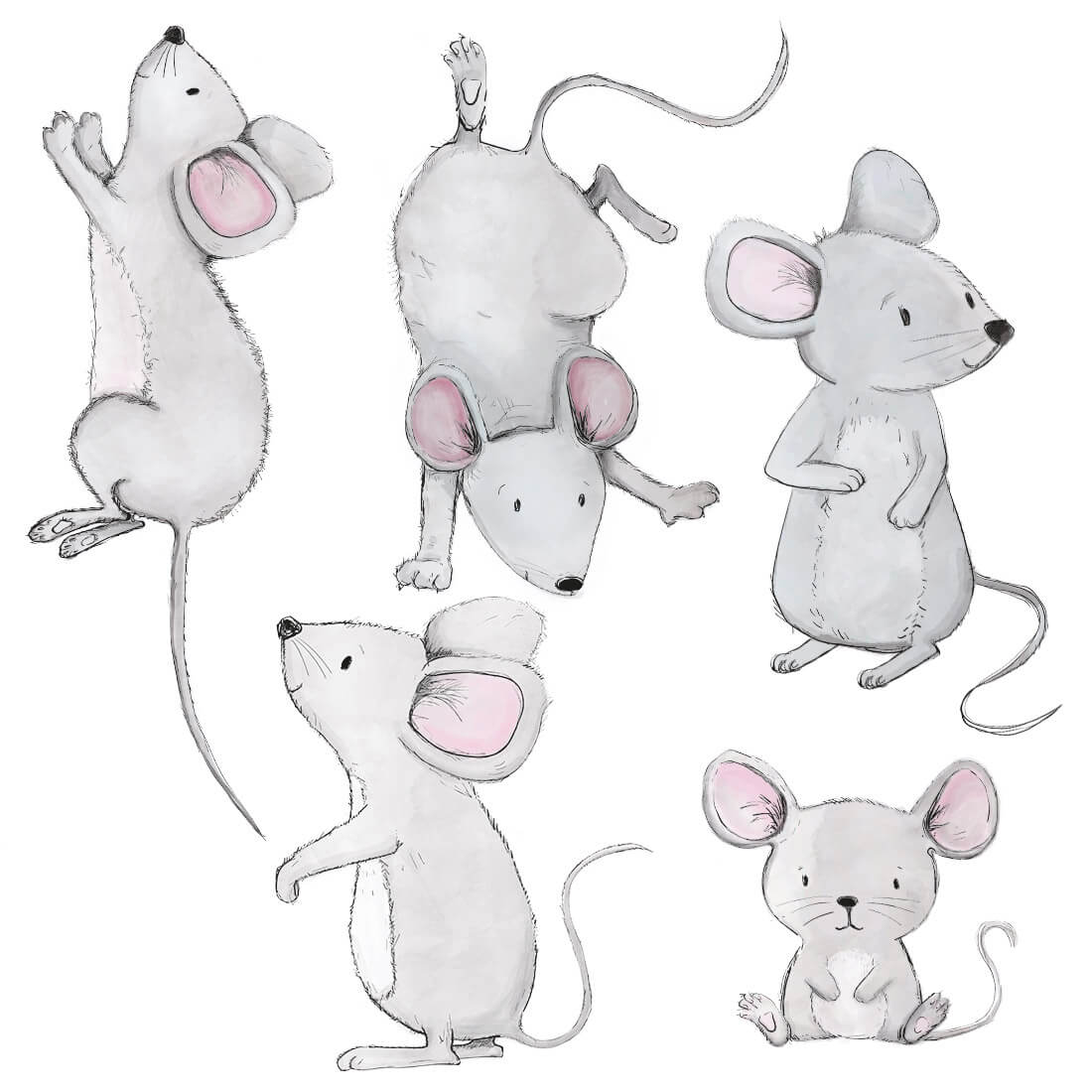 wall stickers > animals