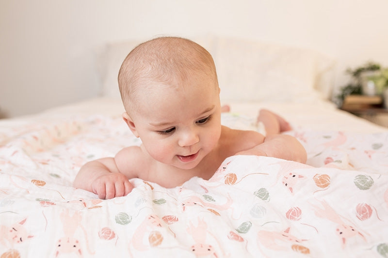 Lulujo Swaddle Mulltuch Pucktuch 120cm Katzen Rosa