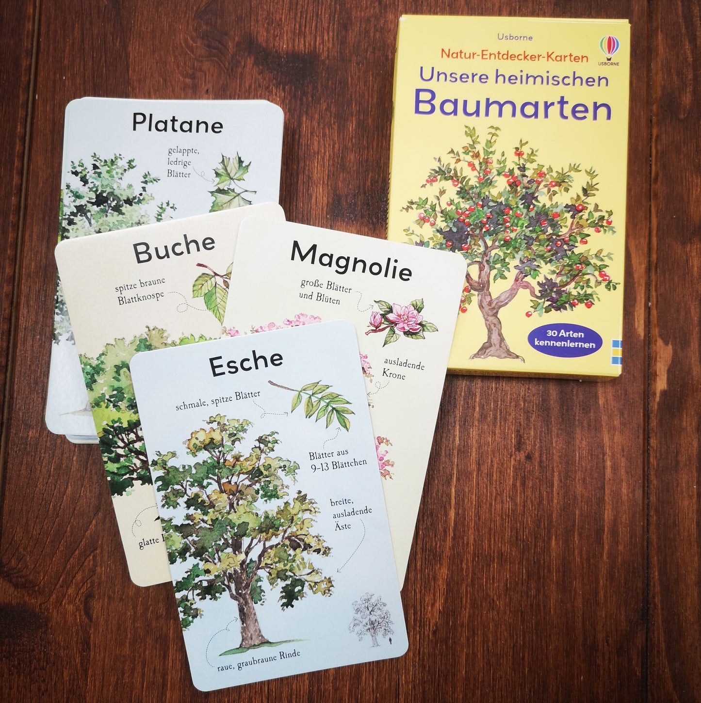 Usborne Kartenspiel Natur Entdecker: Heimische Baumarten