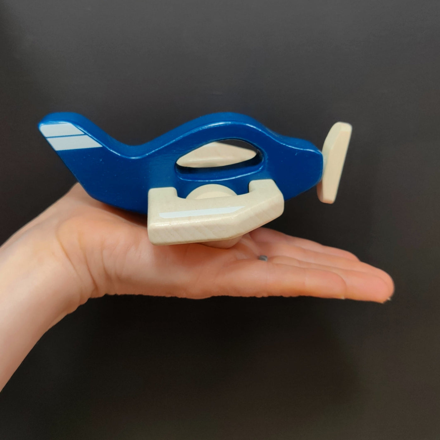 Goki Holz Flugzeug Blau 12m+