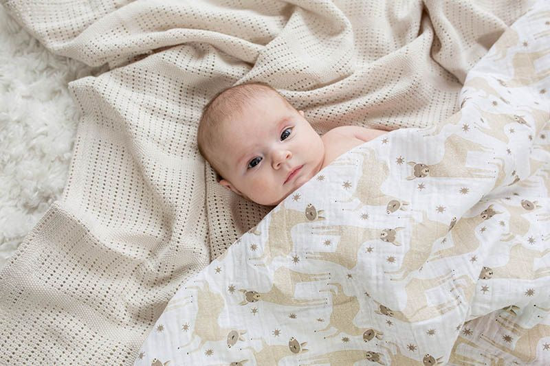 Lulujo Swaddle Mulltuch Pucktuch 120cm Lama Beige