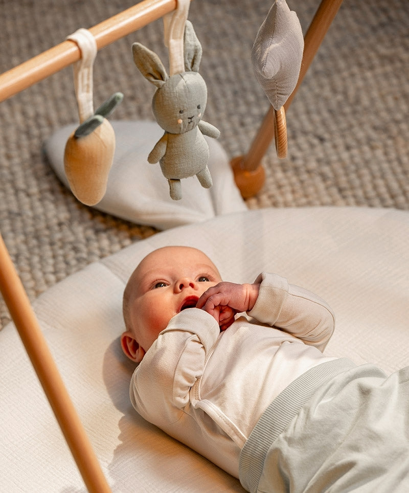 Jabadabado Baby Spielbogen Set Bunny