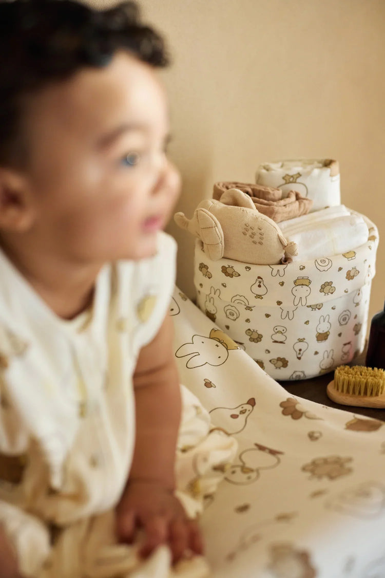 Miffy Time