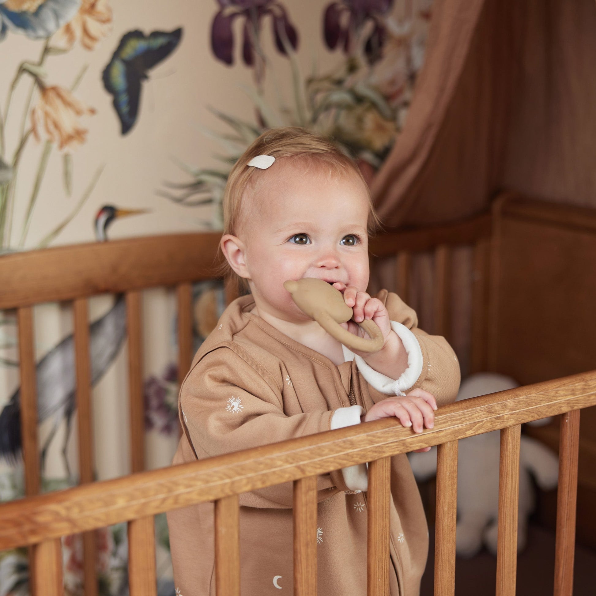 Jollein Baby Beißring aus Latex - Teddy Bear Biscuit _ Live