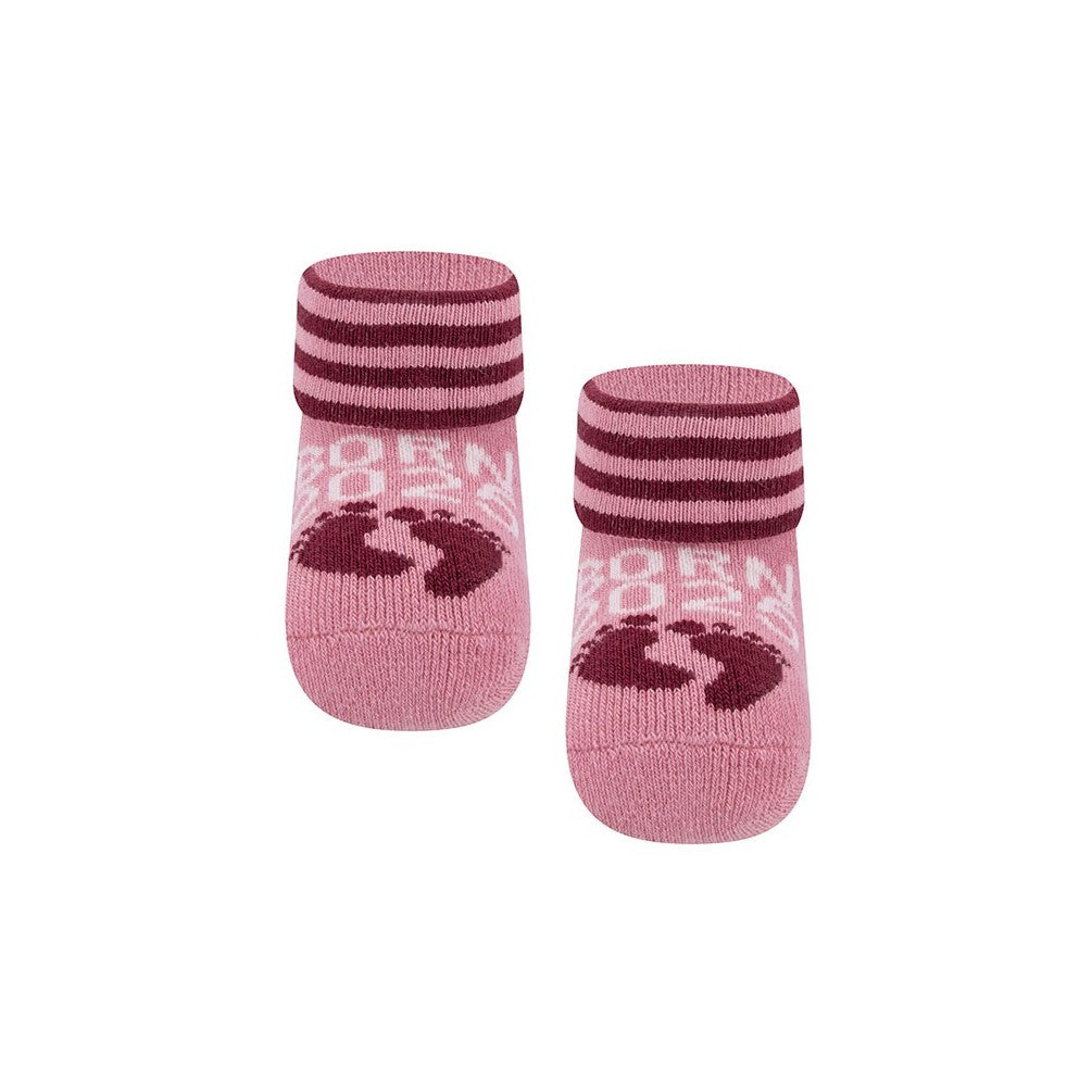 Ewers Babysocke Born 2025 rosa