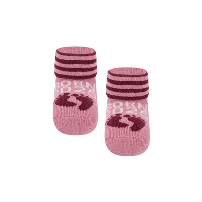 Ewers Babysocke Born 2025 rosa