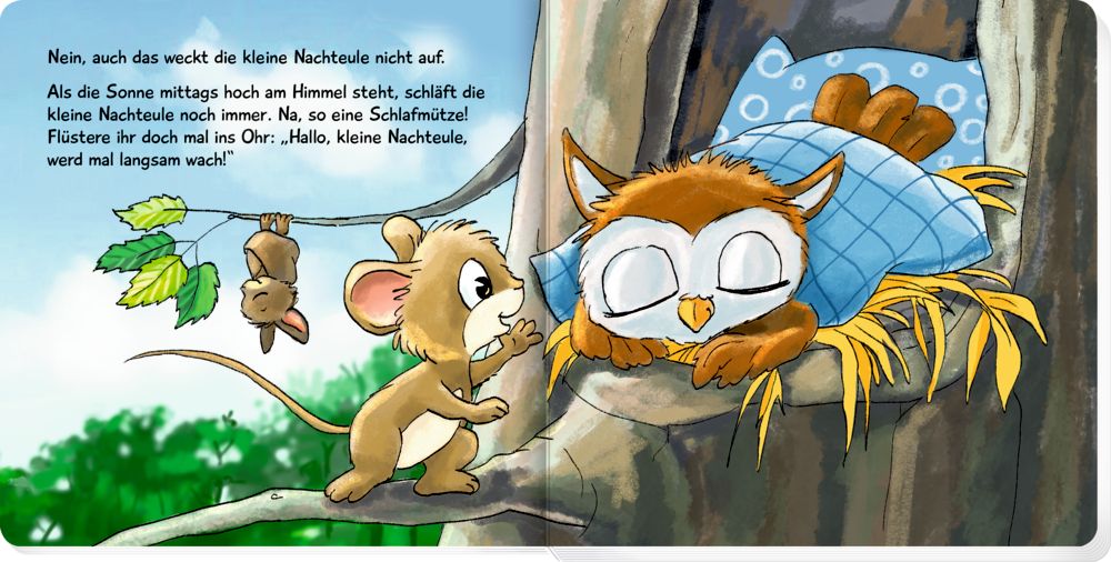 Coppenrath Mitmach Bilderbuch Kleine Nachteule ab 2 Jahren