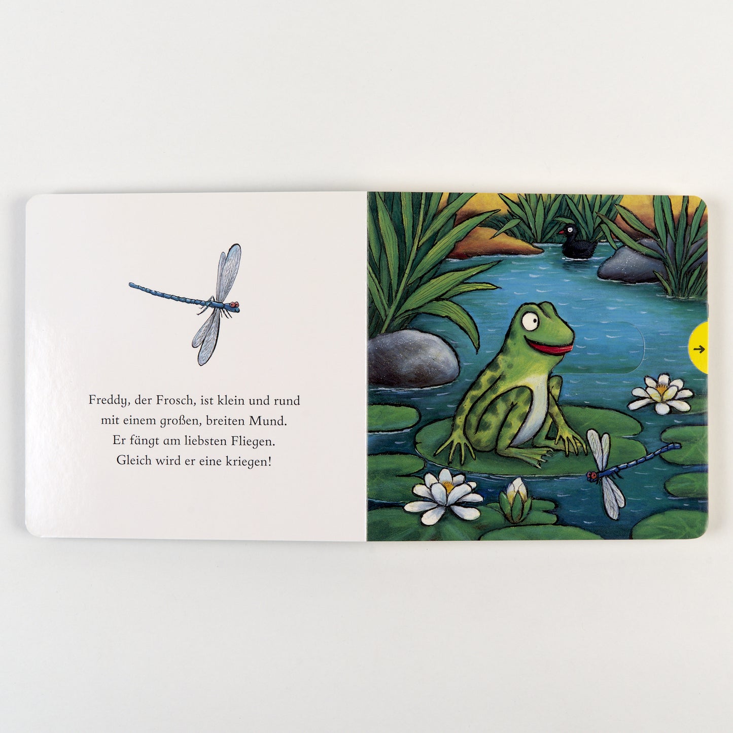 Freddy, der Frosch Schiebebuch von Axel Scheffler