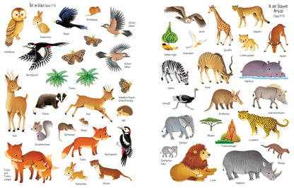 Usborne Kinder Stickerbuch: In der Natur