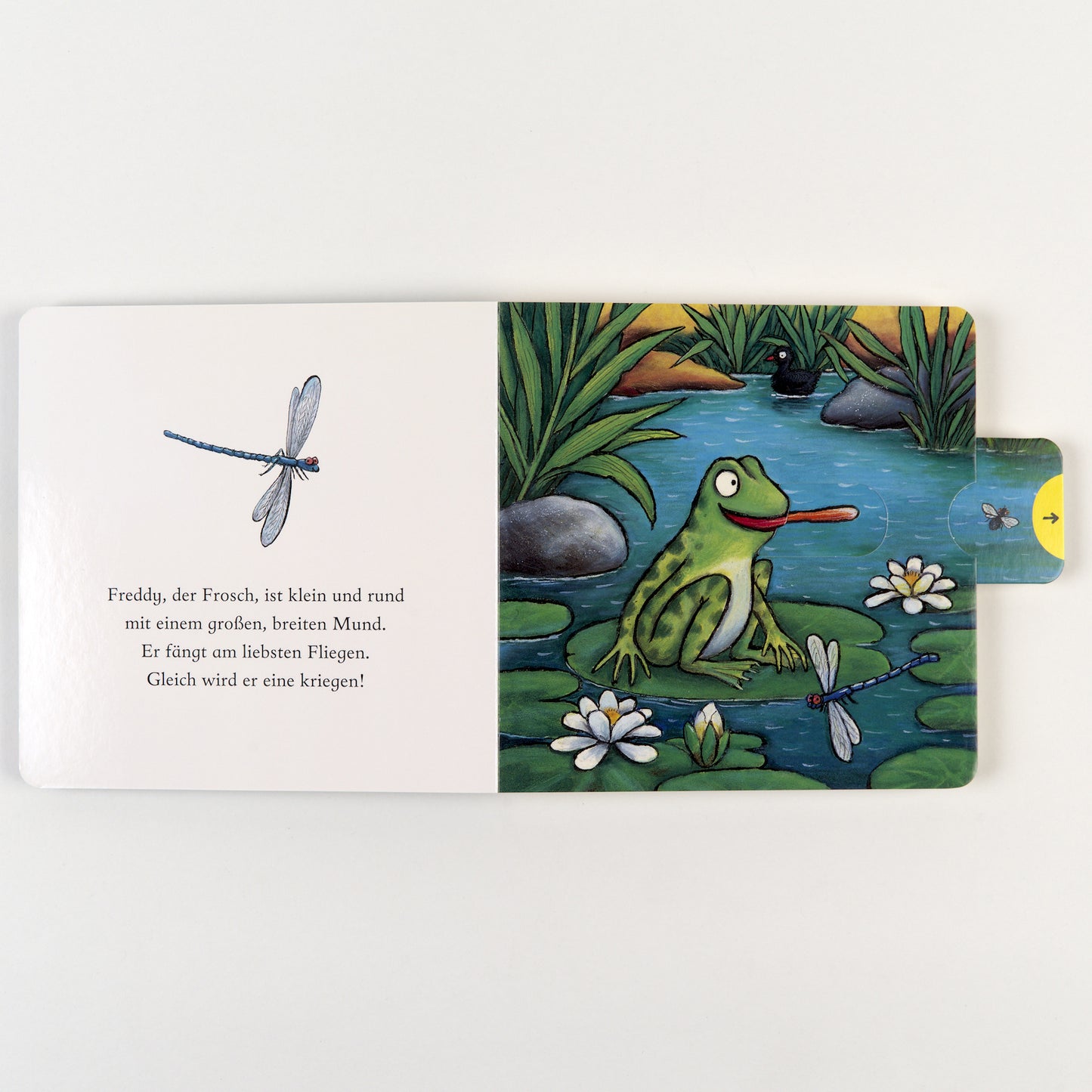 Freddy, der Frosch Schiebebuch von Axel Scheffler