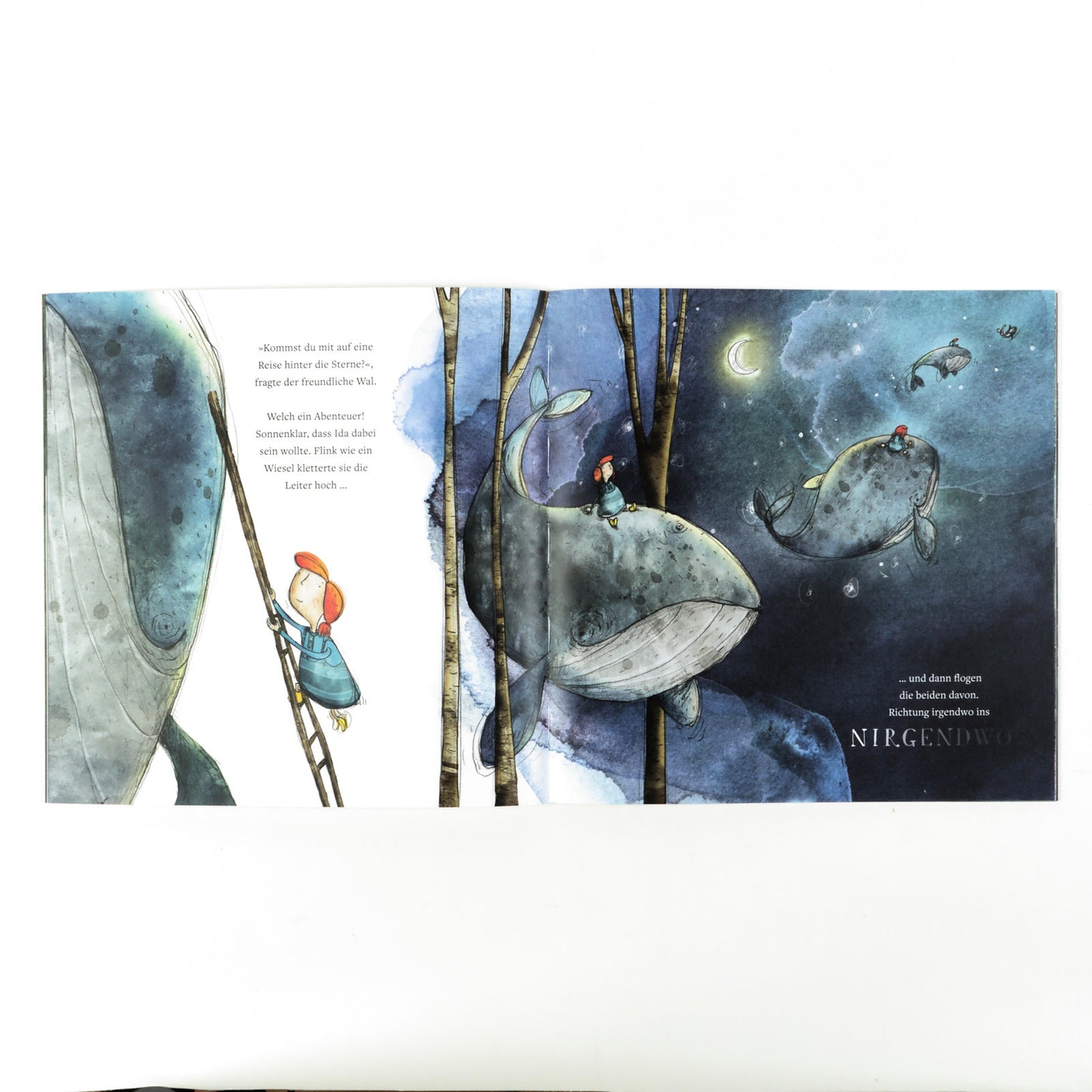 Ida und der fliegende Wal 4J+ von Gugger & Röthlisberger