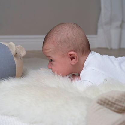 Jabadabado Babyball Teddy & Bunny