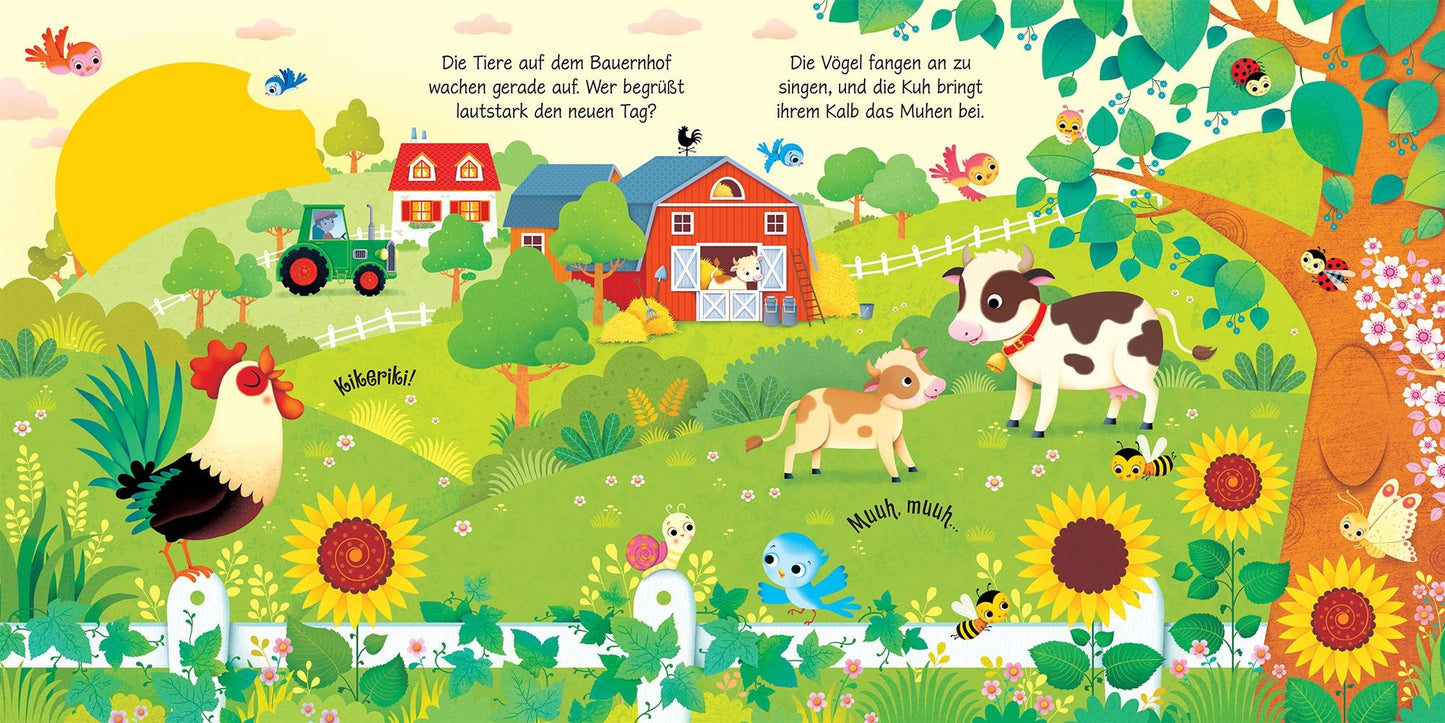 Usborne Klänge der Natur Soundbuch: Bauernhof 3J+