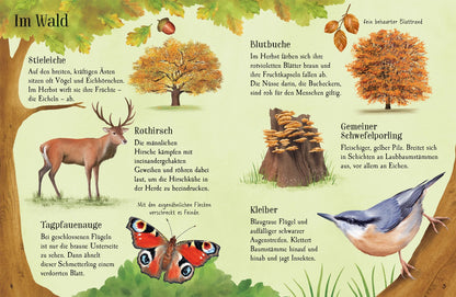 Usborne Minis Naturführer - Entdecke den Herbst 6J+